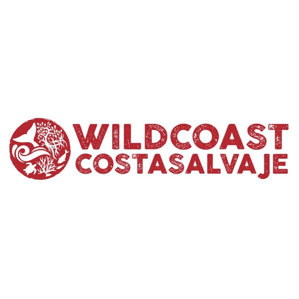 @wildcoast avatar