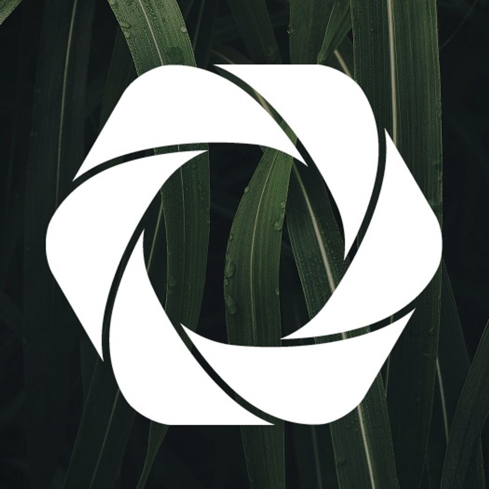 @hyphen avatar