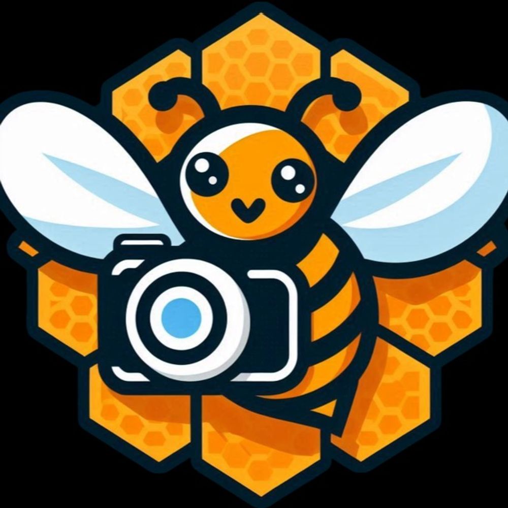 @sensibee avatar
