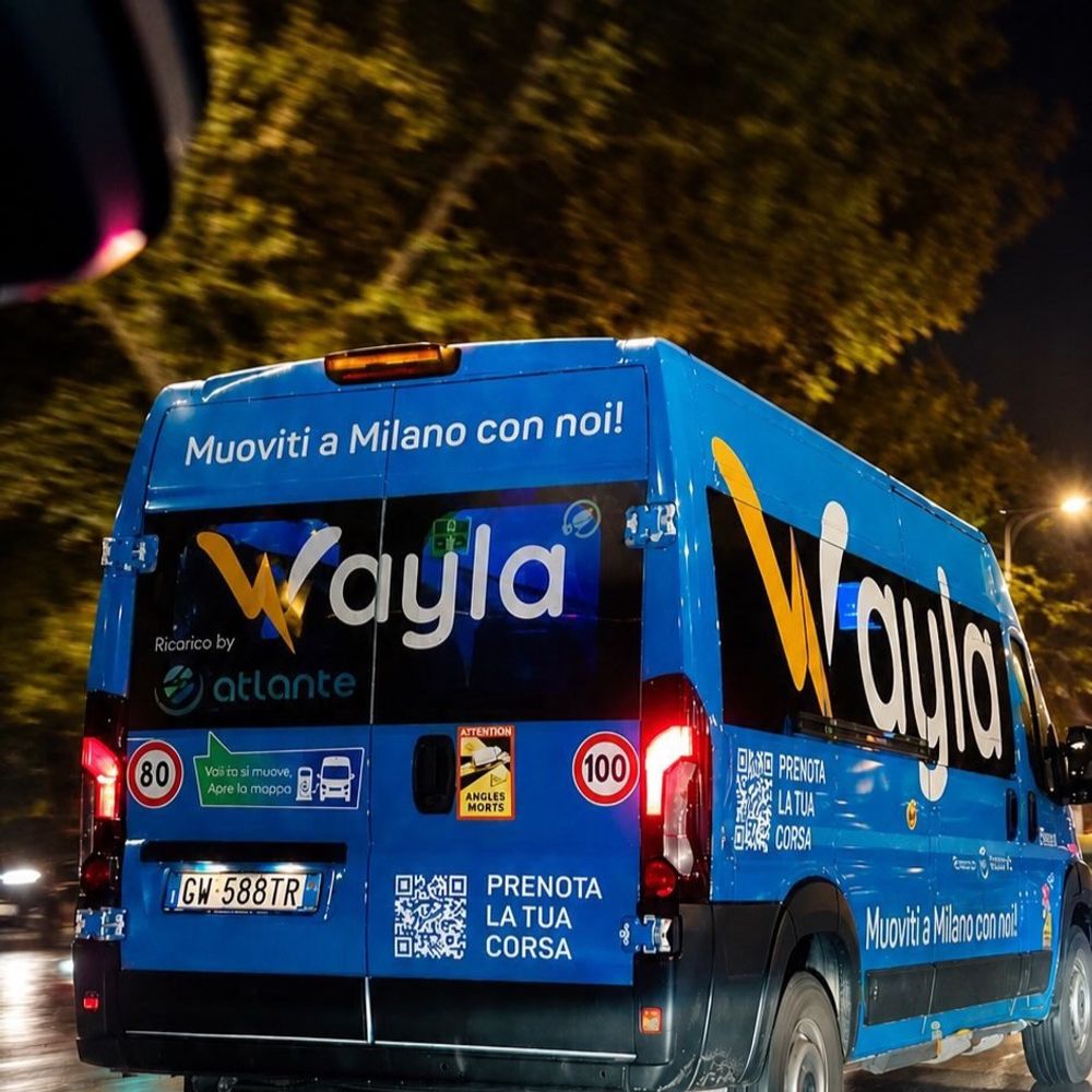 @wayla avatar