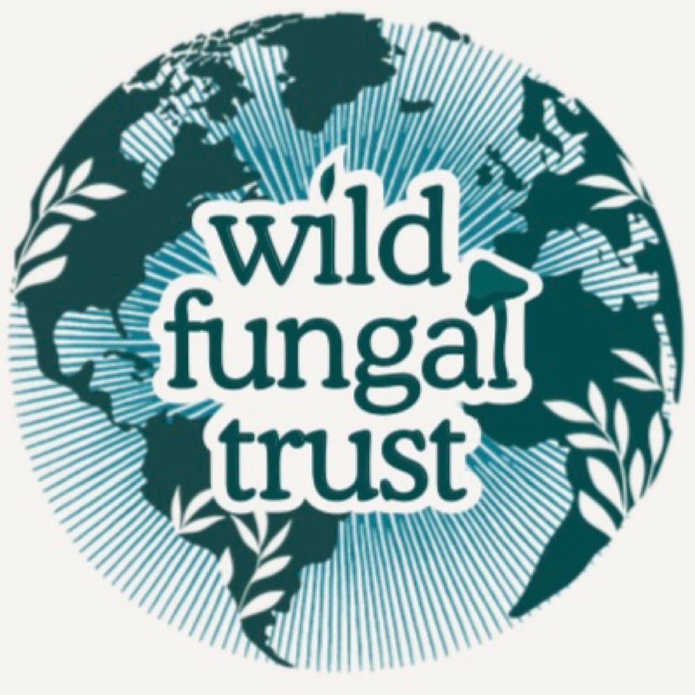 @wildfungaltrust avatar
