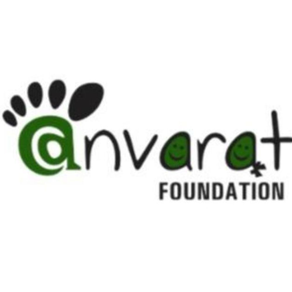 @anvaratfoundation avatar