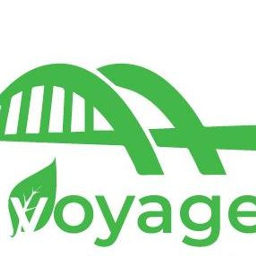 @greenvoyage avatar