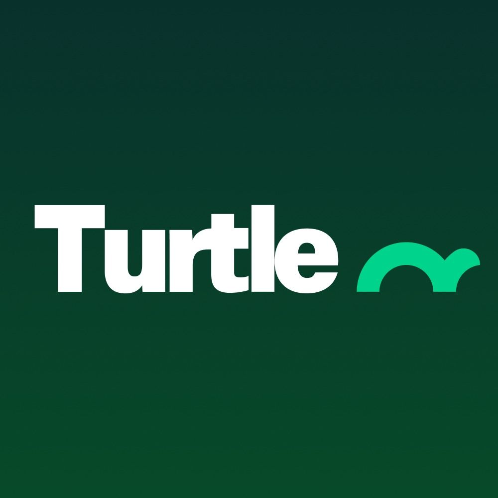 @turtle avatar