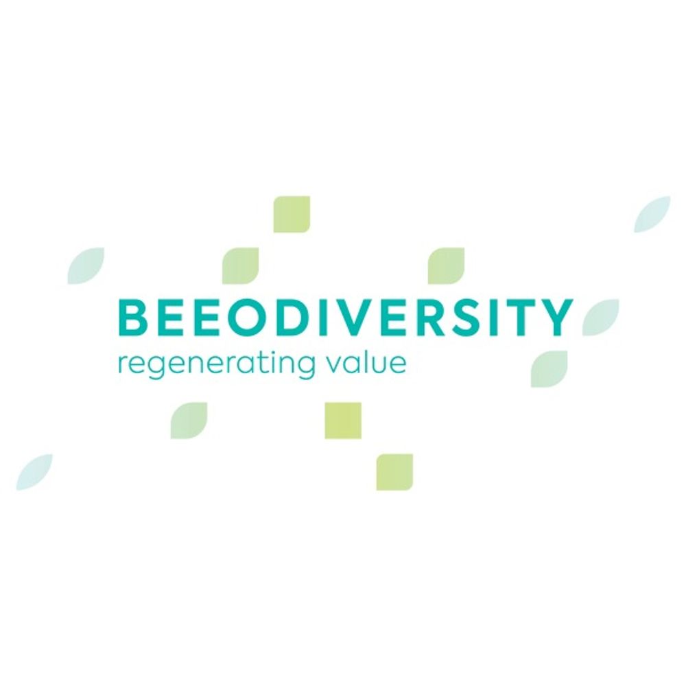 @beeodiversity avatar