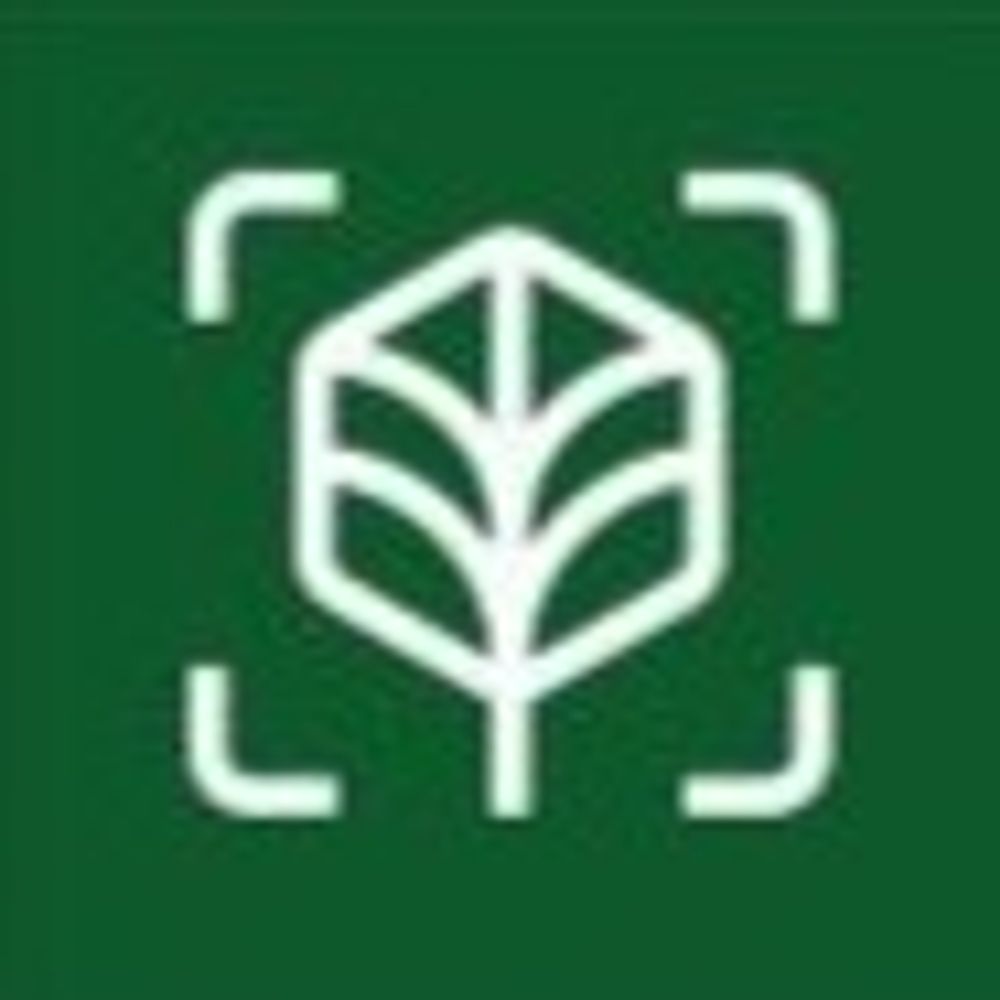 @workingtrees avatar