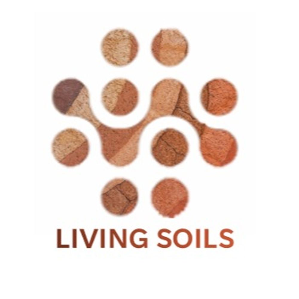 @livingsoils avatar