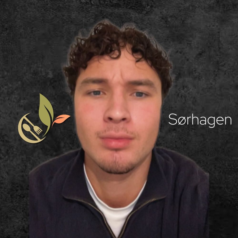 @leonardonilsen avatar