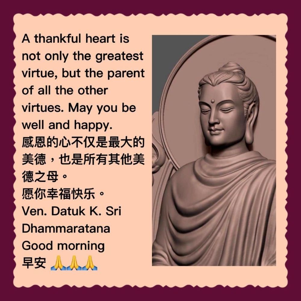 @tok avatar