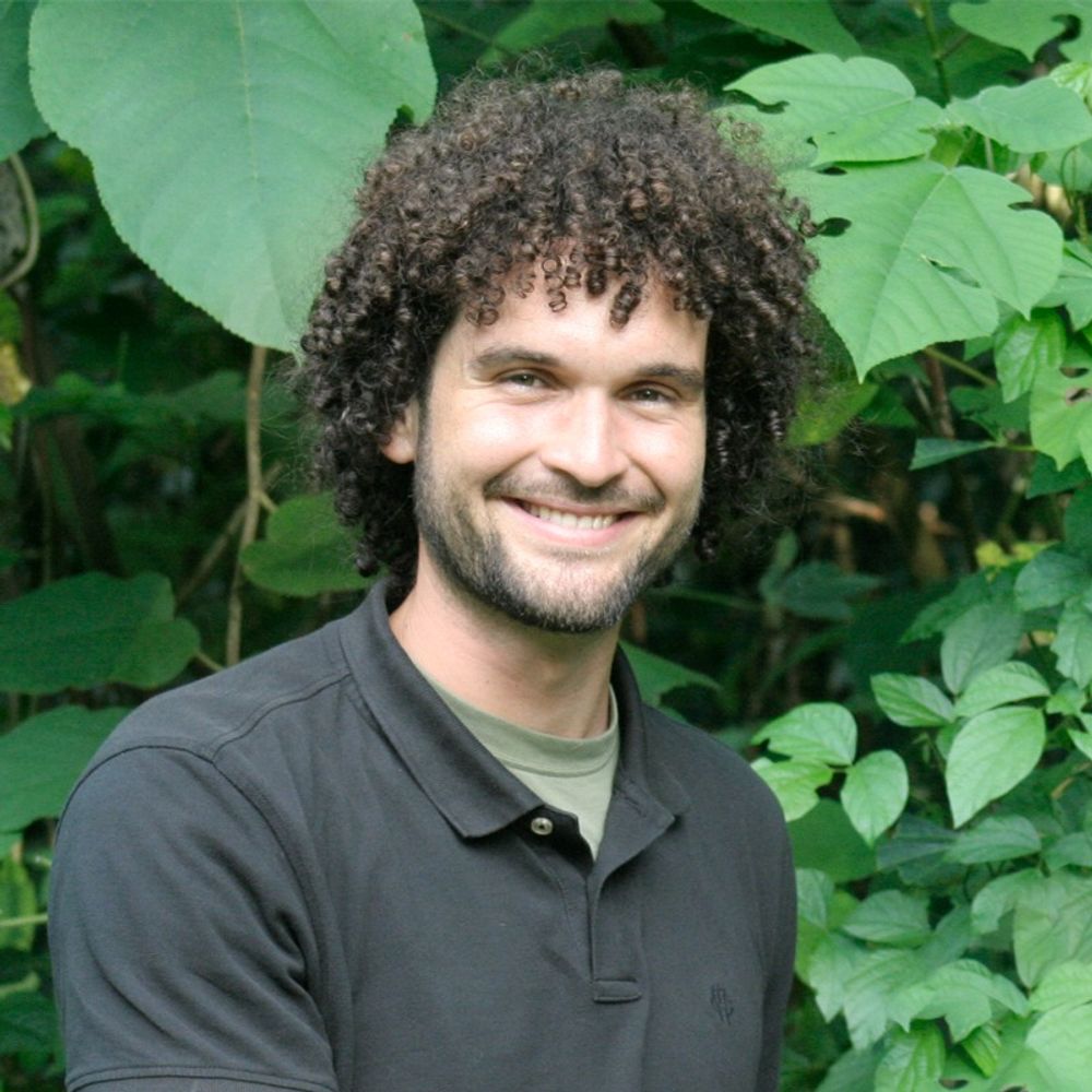 @danielhalman avatar
