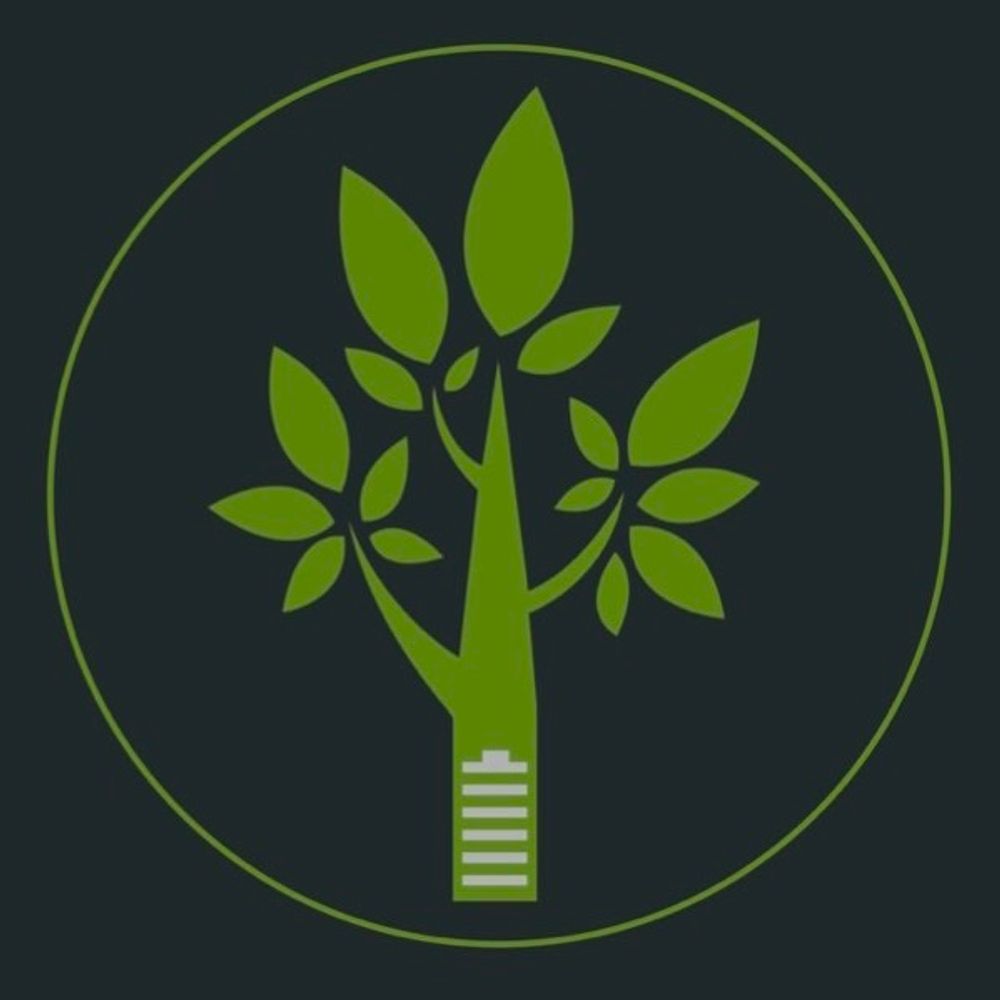 @elasticenergy avatar