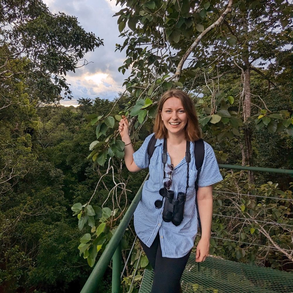 @vicky-rainforest avatar