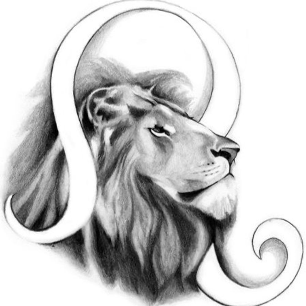 @twintrends avatar