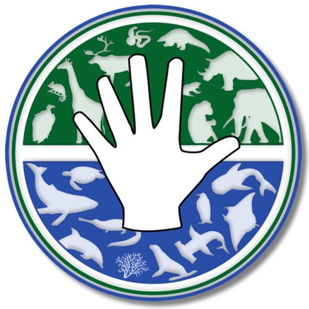 @5wf avatar