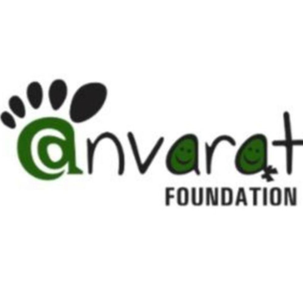@anvarat avatar