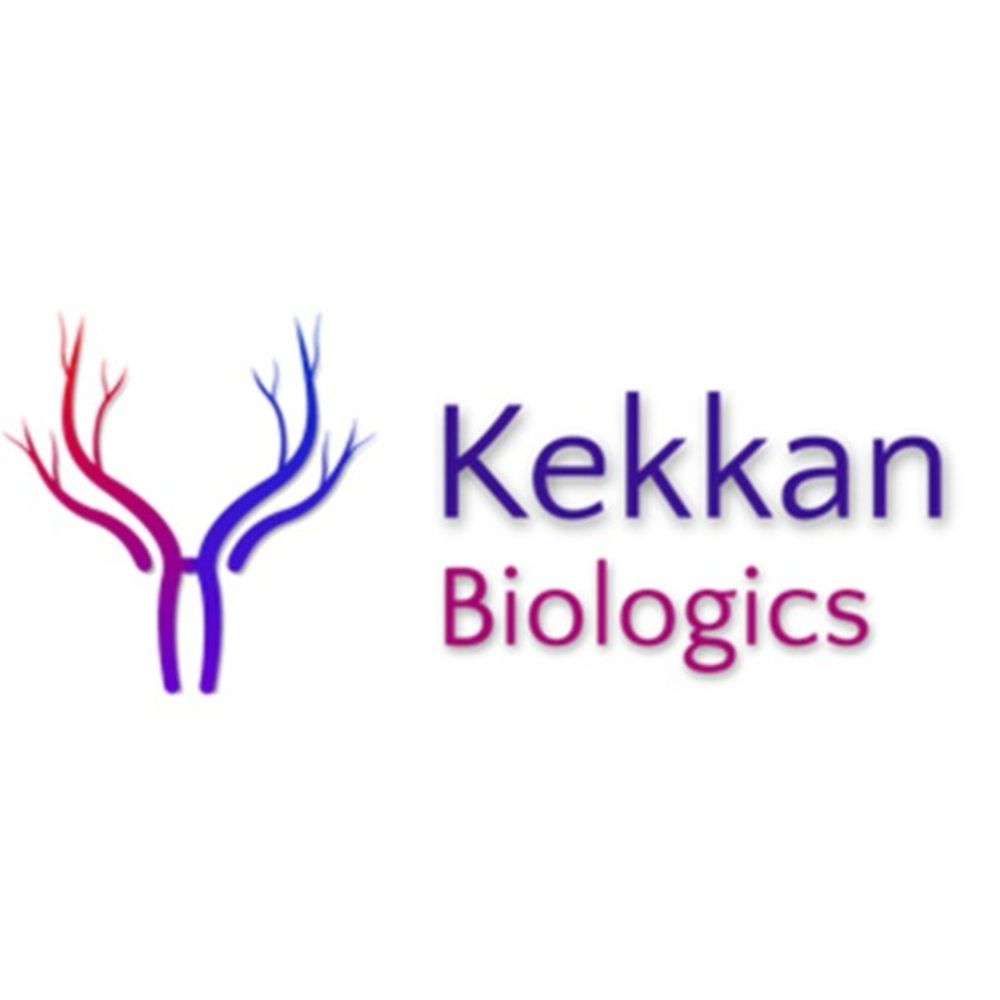 @kekkan avatar