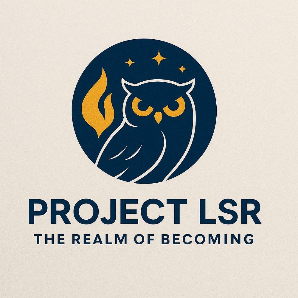 @lsr-systems avatar
