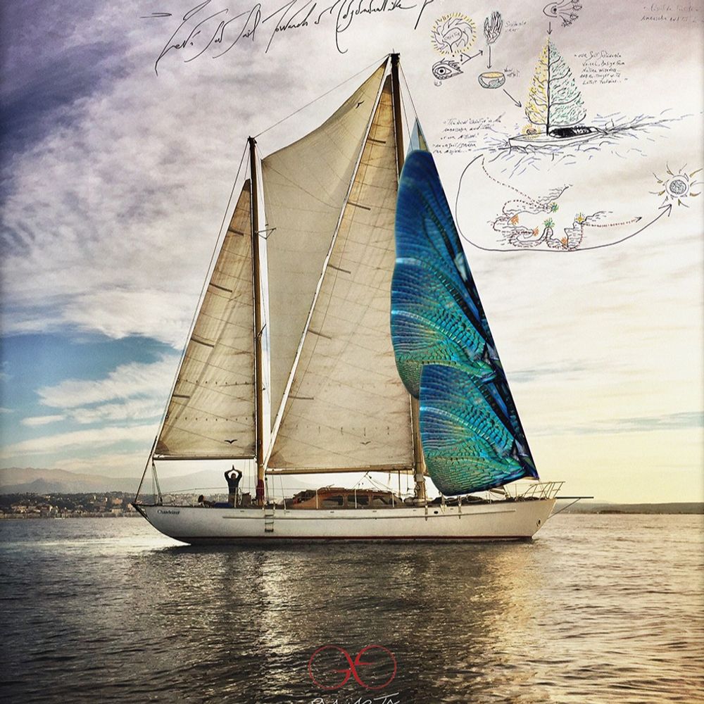 @gaiarta avatar