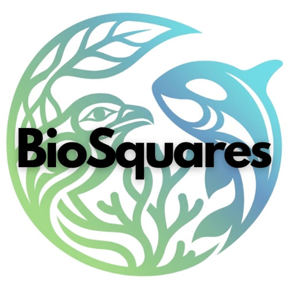 @biosquares avatar