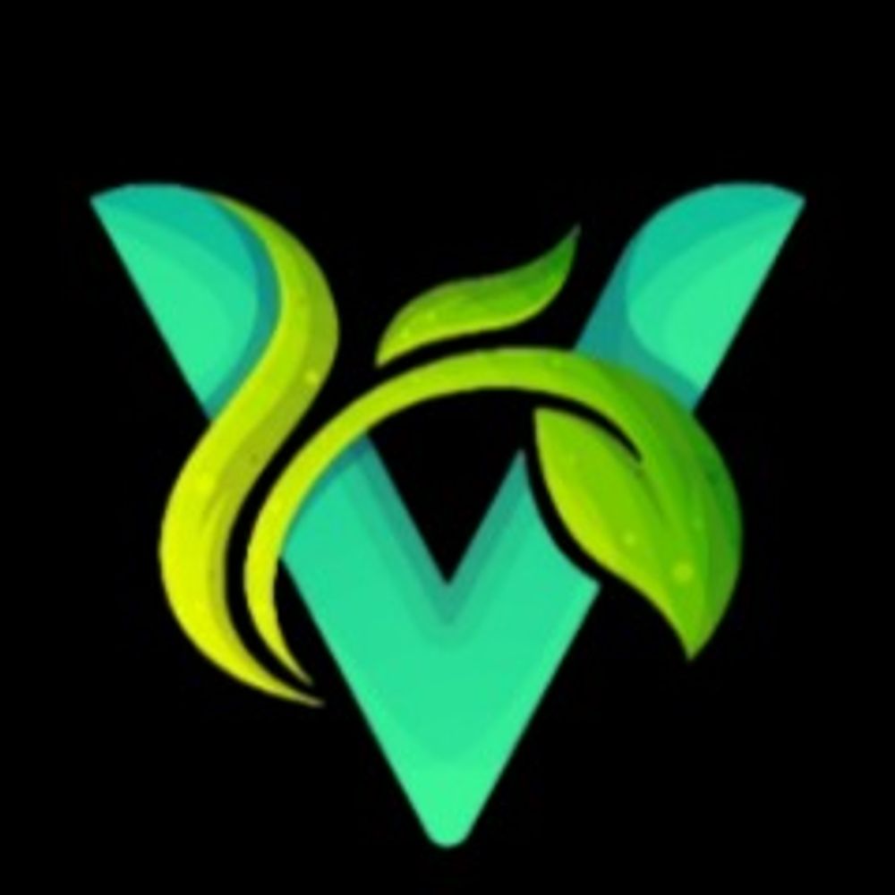 @vitruchem avatar