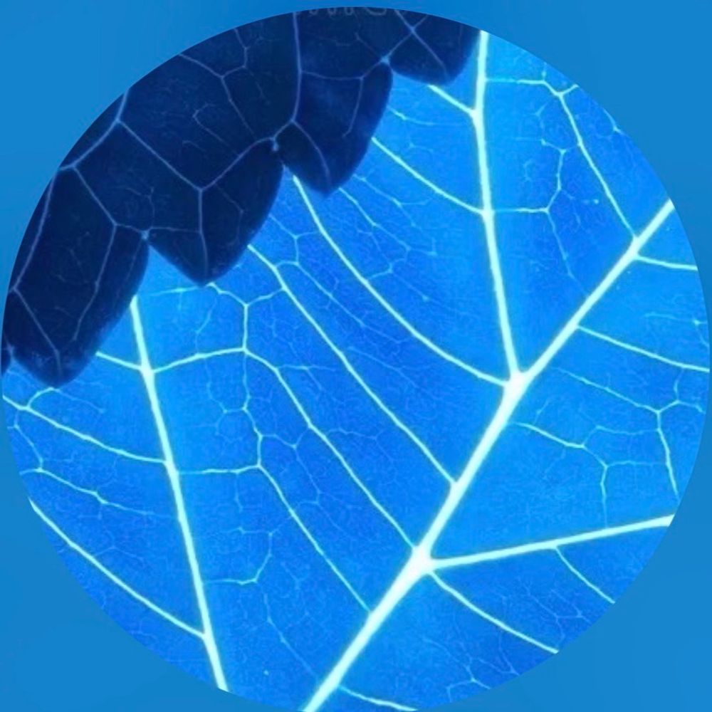 @gil avatar