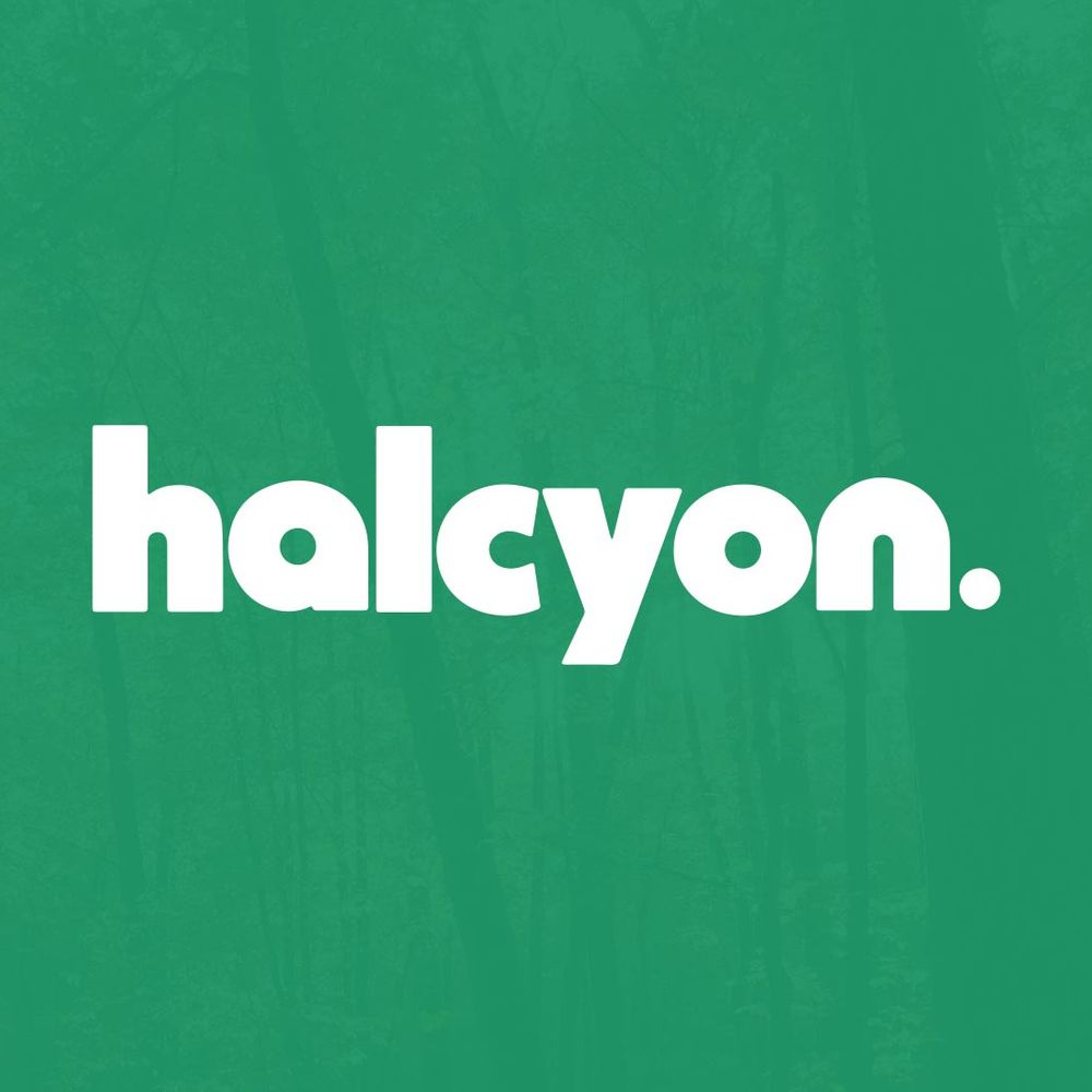@halcyonagency avatar