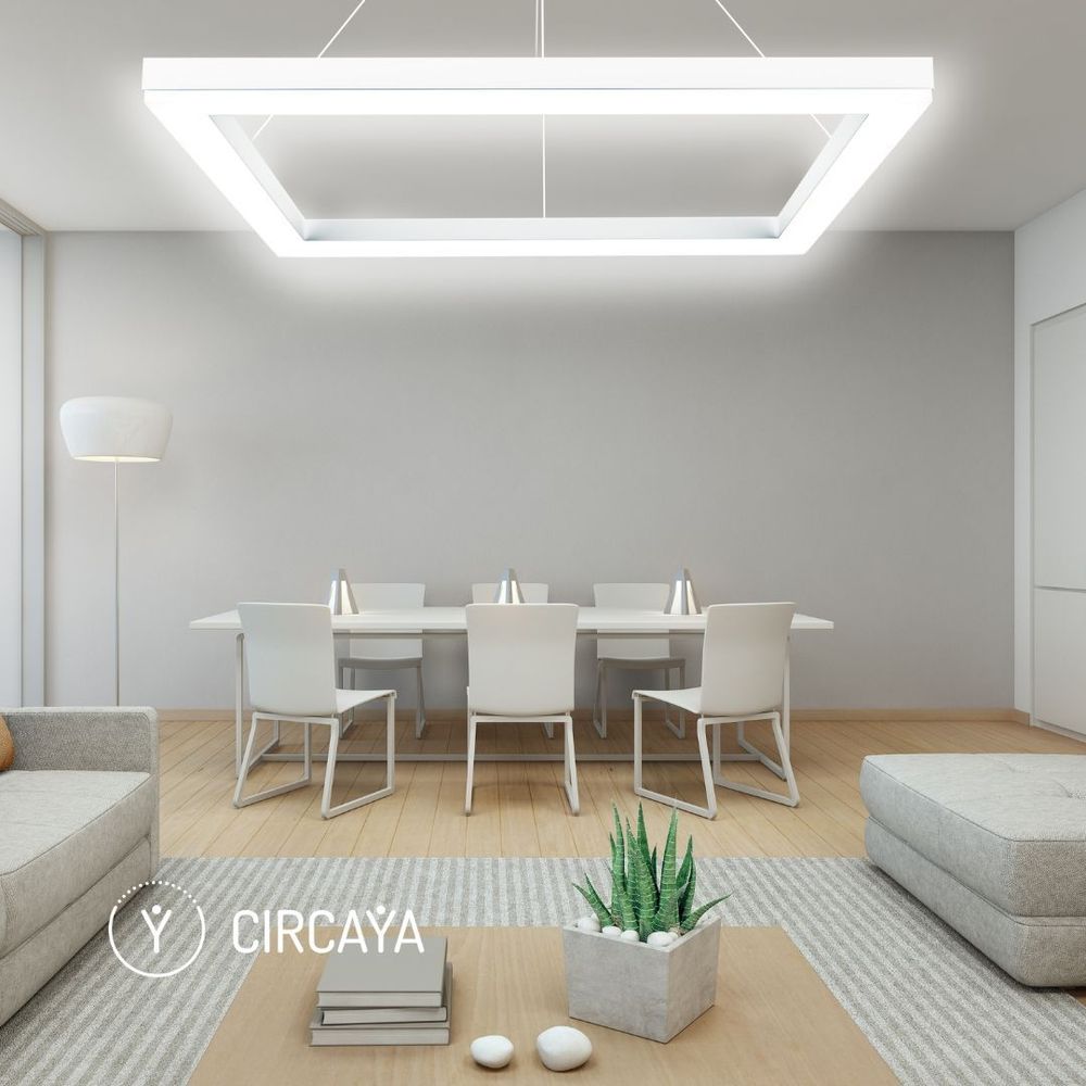 @circaya-light avatar