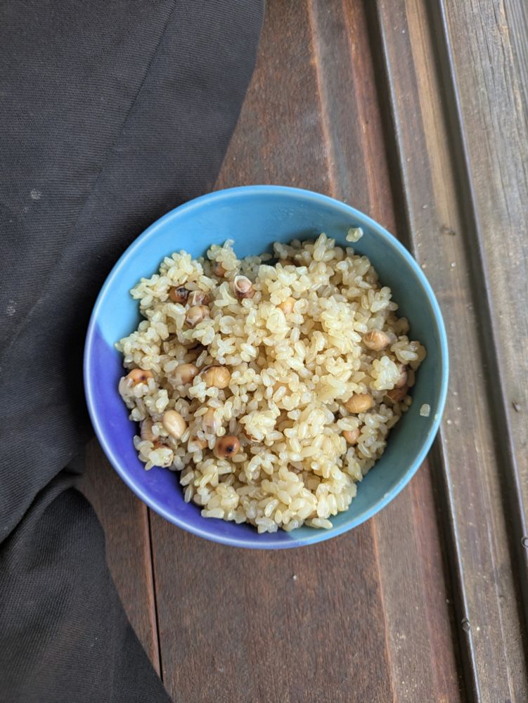 A blue and purple ceramic bowl filled with cooked brown rice mixed with roasted soybeans, placed on a rustic wooden floor next to a dark fabric.