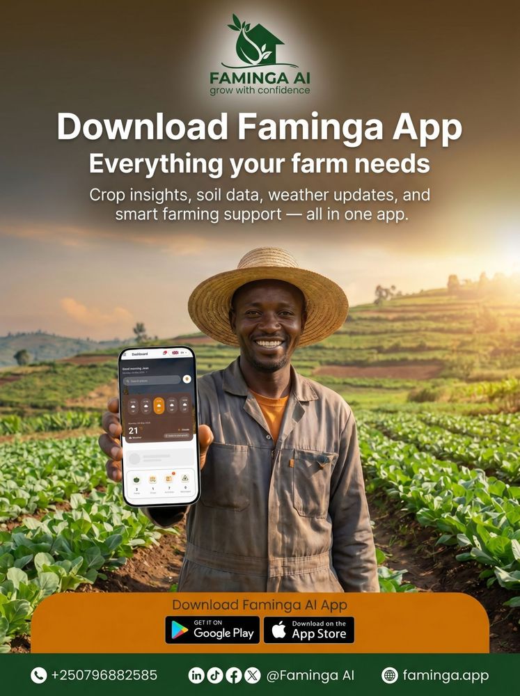Bridging the Information Gap: The Future of Farming is in Your Pocket 📲🌍

Data is the most valuable tool a modern farmer can own. At Faminga, our mission is to simplify complex agricultural variables into high-impact, actionable insights.

We are empowering the next generation of farmers to move beyond intuition and toward precision. By putting real-time farm insights directly into their pockets, we are enabling them to:
Analyze Soil Health: Move from guesswork to data-driven nutrient management.
Optimize Crop Development: Monitor health metrics to ensure every plant thrives.
Mitigate Climate Risks: Utilize hyper-local weather data to plan operations effectively.

When farmers make better decisions, the ripple effect is felt everywhere—through increased yields, higher incomes, and long-term environmental sustainability.
From Rwanda to the global stage, we are building the digital infrastructure for a more food-secure world.

Ready to upgrade your farm’s operating system?
Download the Faminga App.
Build your digital farm profile.
Lead with precision.

👉 Learn more at: faminga.app 📞 Inquiries: +250796882585



