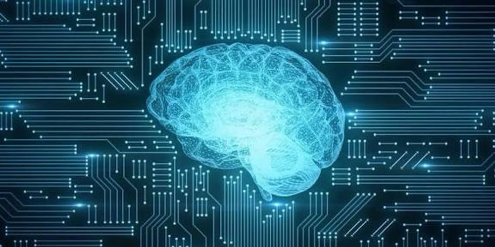Company brain