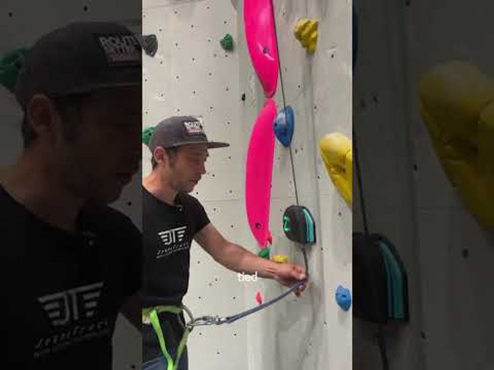 Safety gate Autobelay