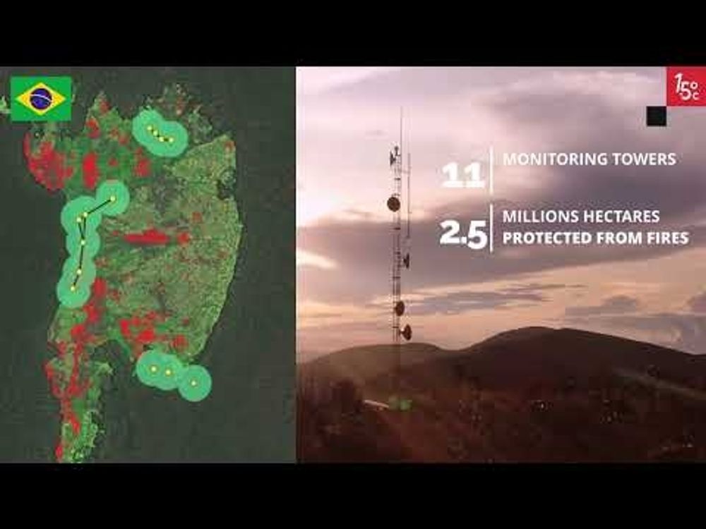 Embrace the Forest: Uniting for Forest Conservation and Climate Action
