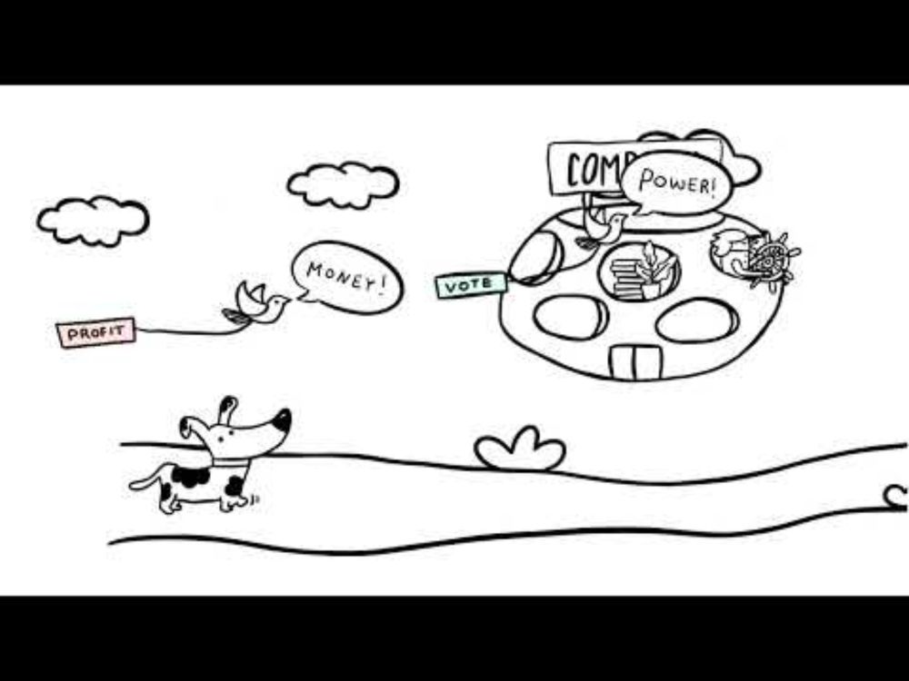 The Big Picture: Discover Steward-Ownership!