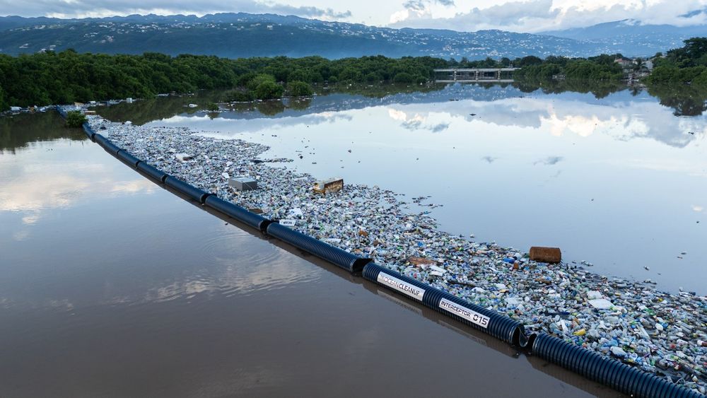 (c) The Ocean Cleanup