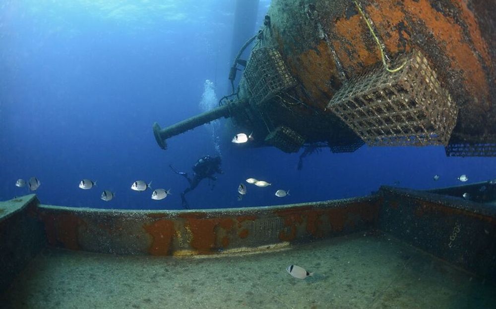 Biohuts under water