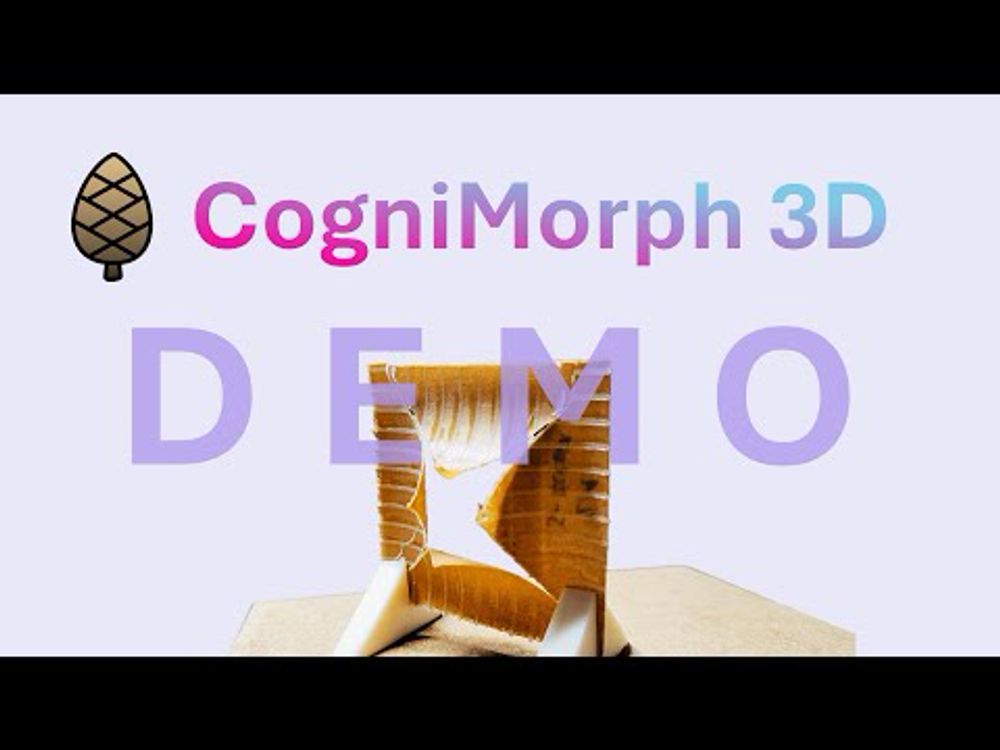 CogniMorph 3D Beta