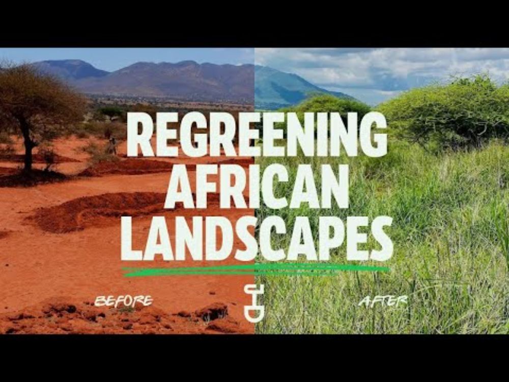 How We Are Restoring Nature Across Africa | Justdiggit Story 2025