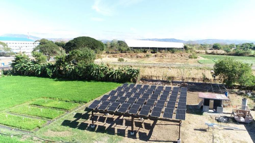 CLSU Agrovoltaics Project