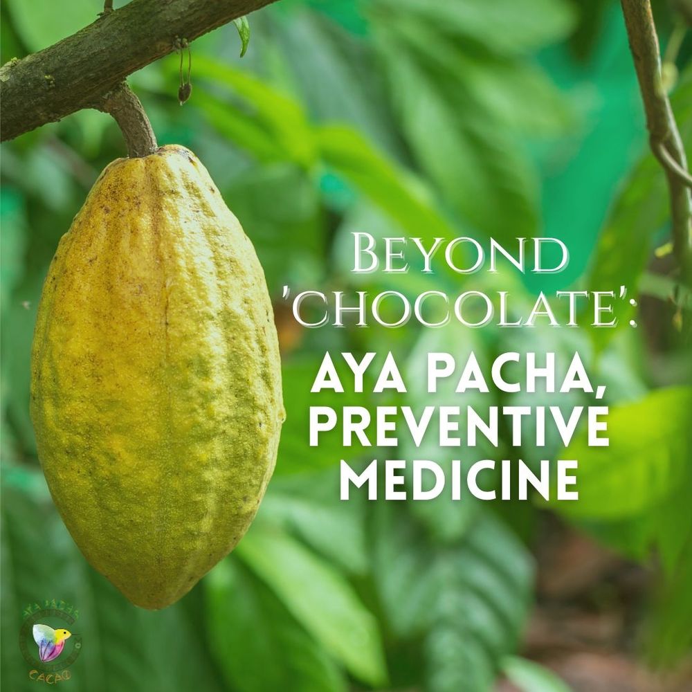 ✨ AYA 🌺 Pacha ® ✨

Medicinal Cacao • Single Origin • Preserving the Native Forest with Agroforestry practices at Ecuador

We are a community of heart-led beings walking with the forest. Our medicine begins as a prayer for the trees and rivers, for the animals, for the guardians of ancestral lands. When it finally reaches the hands of the consumer, it already carries the memory of reciprocity and the breath of life.

Like Ayahuasca, our path weaves together plants, people, and purpose. Every seed of native Arriba Nacional Cacao is cultivated inside biodiverse forests and carries the vibration of conservation, regeneration, and care.

This medicine heals in many directions:
🌱 for the land, through protection and renewal of native species.
🦉 for the animals, through safe and thriving ecosystems where Cacao is an element of the forest.
👣 for the guardians, whose livelihood is rooted in dignity and love for Mother Earth.
💚 for the community that drinks and awakens, remembering their role as Earth guardians.

We are opening this journey to collaborators who feel the call to protect life while creating beauty and prosperity. Together we can shape a legacy where forests stand tall, rivers flow freely, and every partnership becomes a ceremony of gratitude.