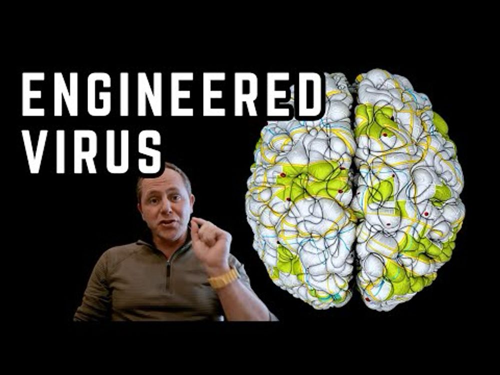 Neuroscience JUST Did the IMPOSSIBLE