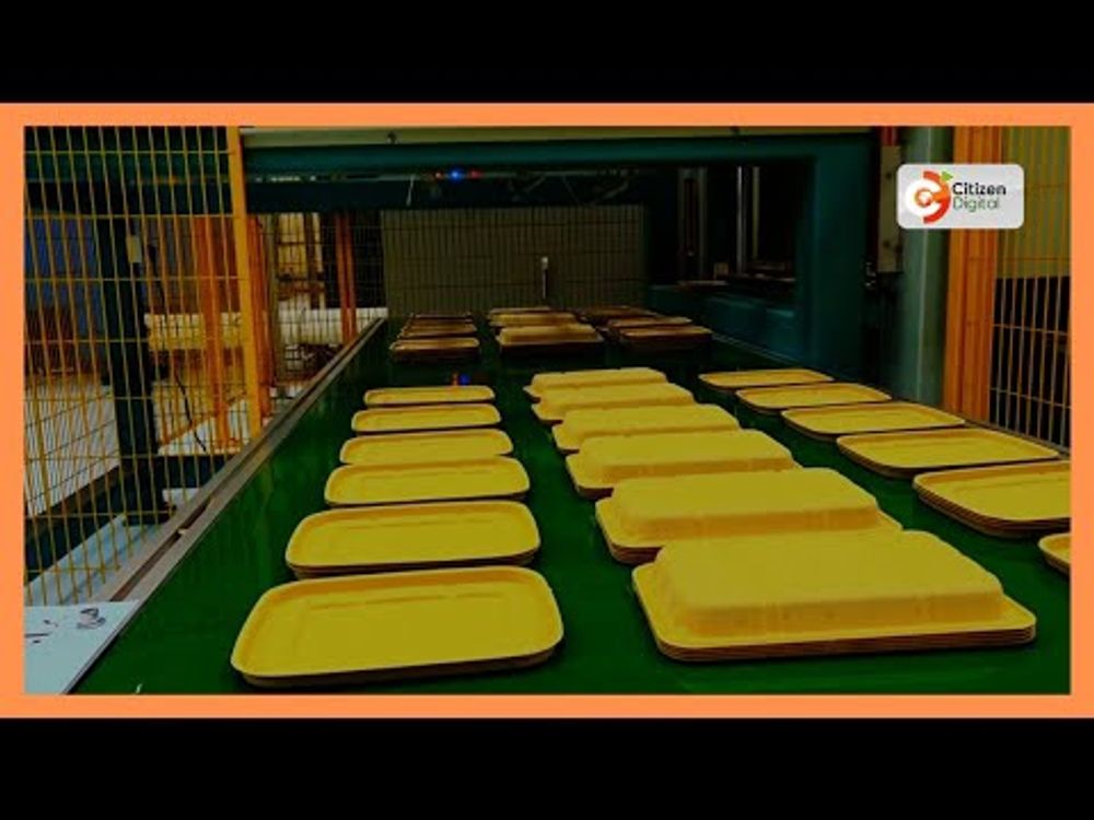Thika venture produces eco-friendly packaging to tackle plastic waste