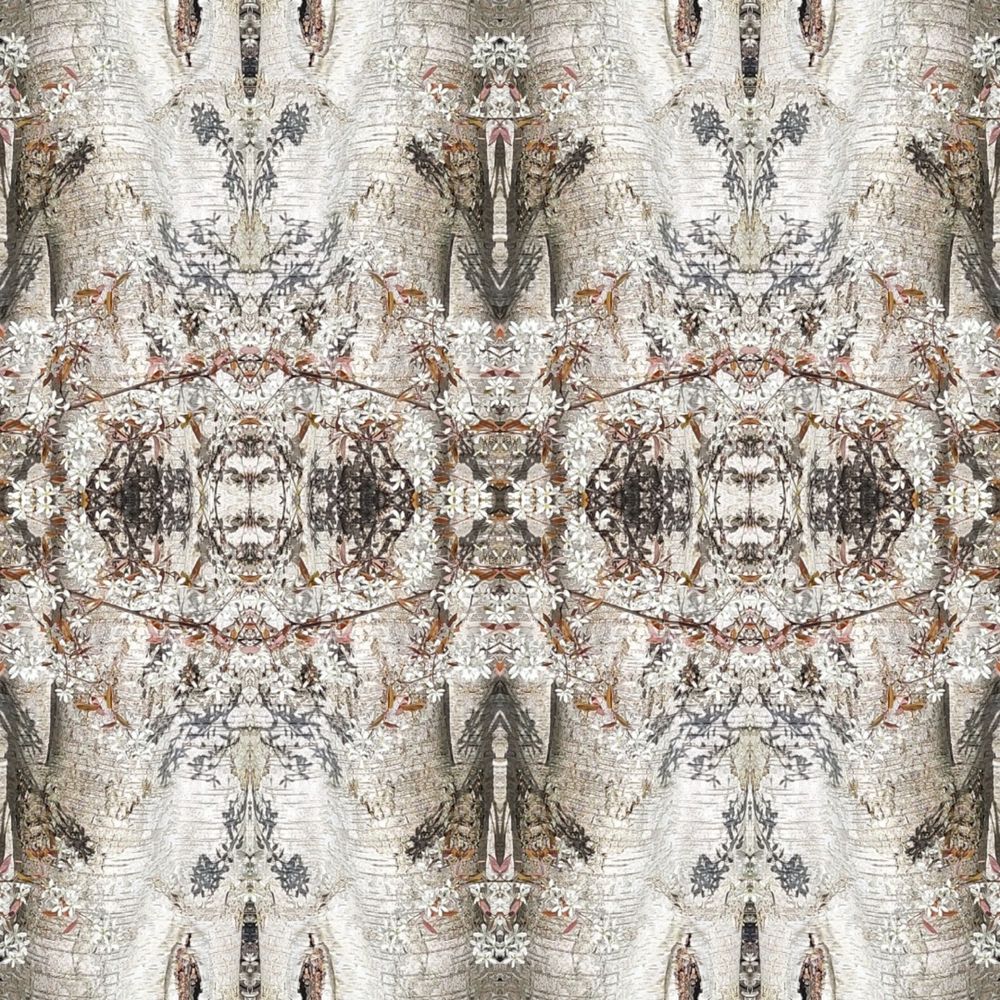 The trunk of a silver birch tree and the crinkles of creased bark forms this image, the colours are pale whites, warm beige and soft dusty orange pink salmon colours and gentle browns. The image is reflected around the center point. Then repeated twice. The creases of the bark create almost tribal symbols. Here we want you to think in waves, frequency of waves, ripples of waves, how gravity and wind move you and create forms of your wildest imagination. We love you and what you imagine you can see. We don't know what the image is showing us, that is the point. To interact with the way the brain predicts information.
