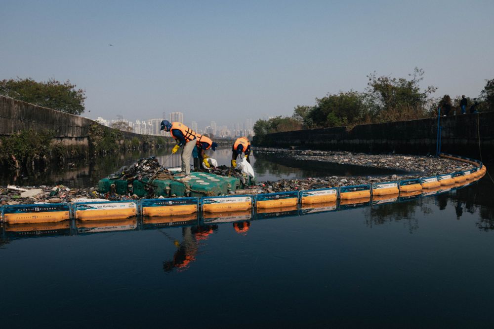 picture showing a Plastic Fischer TrashBoom (a swimming barrier that stops floating waste in waterbodies) in action in Mumbai, India.