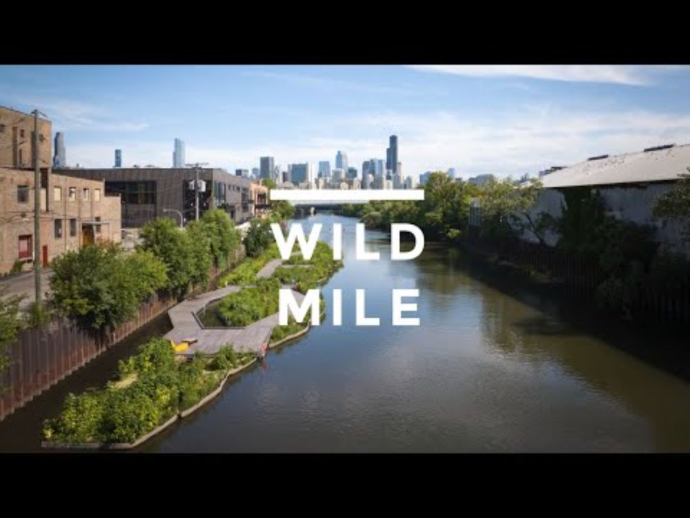 The Wild Mile - 2024 Progress