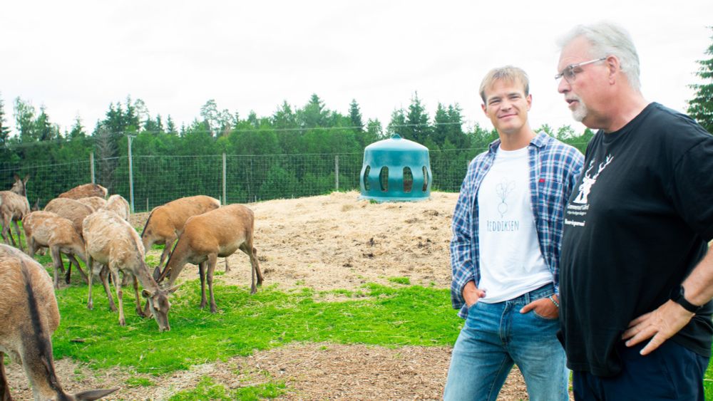 Joachim from Reddiksen visiting one of our partners, Ketil of Eidskog vilt, at their deer farm.