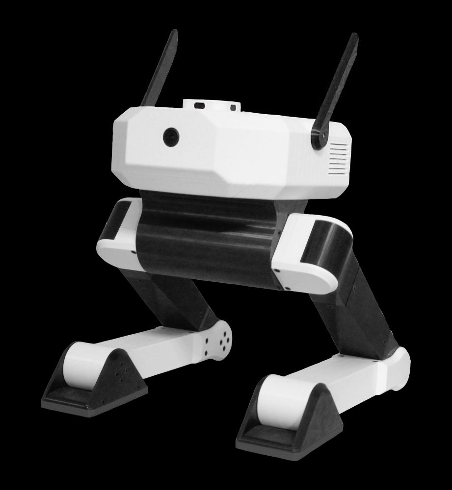 Real image of Bimo. 